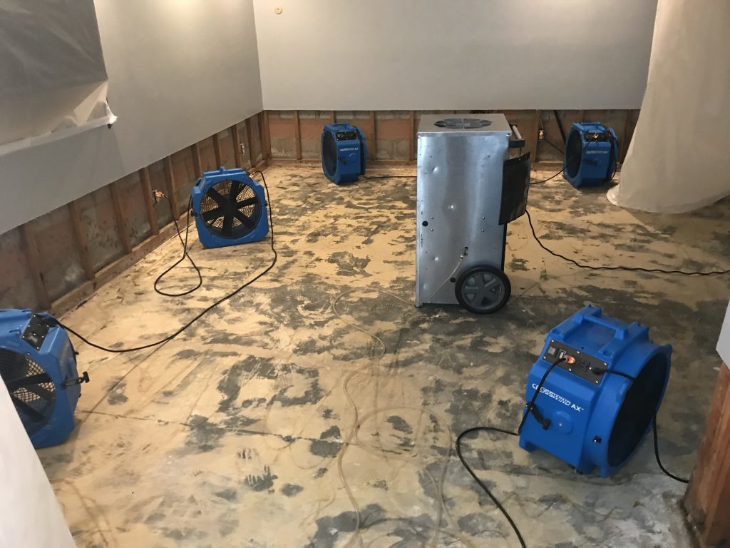 Chaos To Clarity: The Art Of Water Damage Restoration